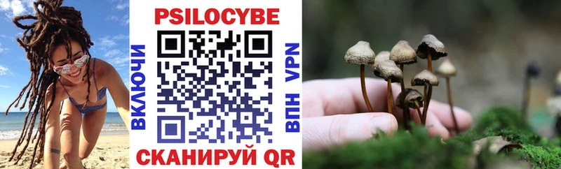 Псилоцибиновые грибы прущие грибы  Купить закладки  Олёкминск 
